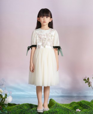 Angel White Lace Tuelle Dress