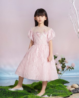 Pink Butterfly Brocade Dress