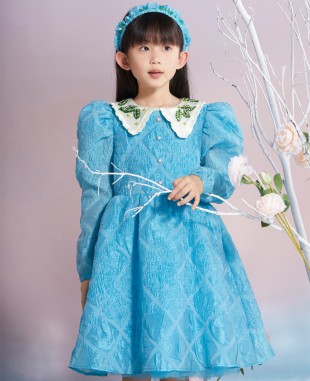 Blue With Beaded  Collar Long Sleeve Dress