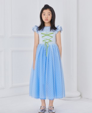 Blue Cinderalla Tuelle Dress