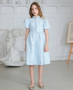 Baby Blue Short Sleeve Brocade Dress