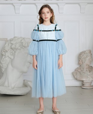 Long Sleeve Baby Blue Tuelle Dress