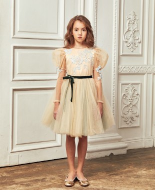 Nude Princess Floral Embroidery Dress