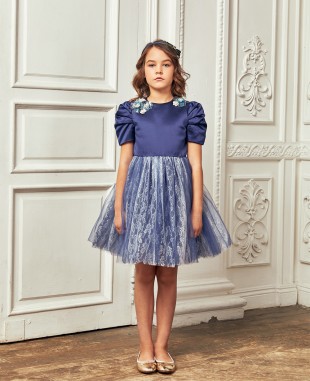 Navy Frilled Sleeve Tuelle Dress