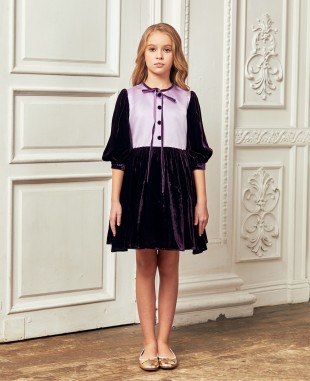Dark Purple Velvet Dress