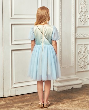 Baby Blue Short Sleeved Floral Embroidery Tuelle Dress