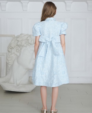Baby Blue Short Sleeve Brocade Dress