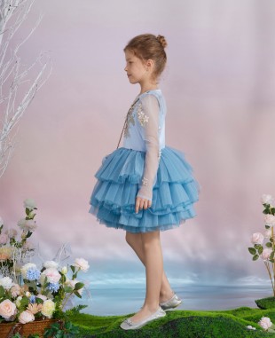 Blue Lace and Floral Embrodiery Tuelle Dress